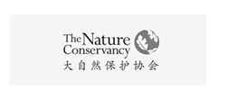 大自然保护协会网站建设