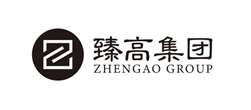 臻高集团logo设计