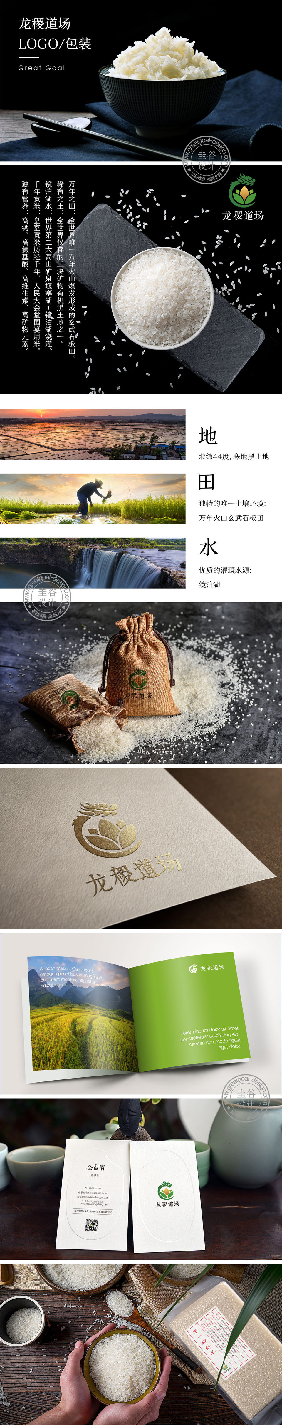 青岛logo设计